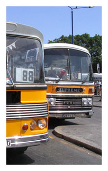 Cibus-2012